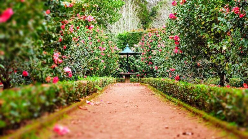 Beautiful, well-maintained garden with colorful flowers